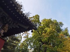 -潭柘寺景区