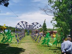 -黄海国家森林公园