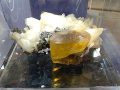 -湖南省地质博物馆