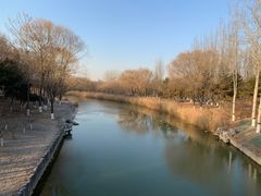 -大兴滨河森林公园