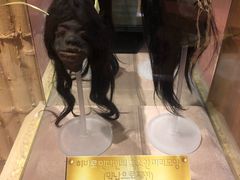 -信不信由你博物馆