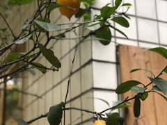 -懒鱼时光馆(沙坪坝店)