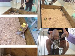 -怪兽屋·羊驼·猫咖·狗咖(俊华广场店)