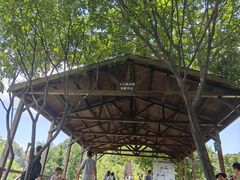 -大岭沟猕猴桃谷风景区