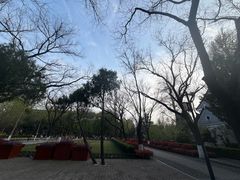 -山东大学(趵突泉校区)