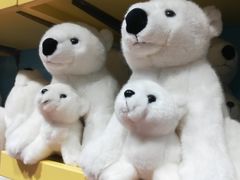 -海合安武汉极地海洋公园