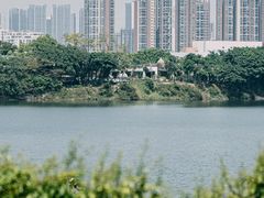 -立新湖公园
