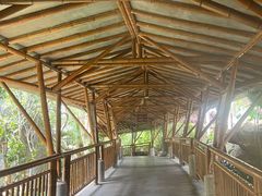 -海口观澜湖火山温泉谷