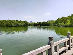 -济南大明湖景区