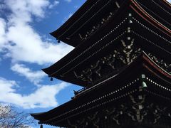 -医王山·飞騨国分寺
