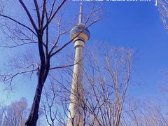 -中央广播电视塔