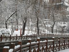 -迎泽公园