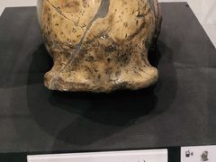 -北京周口店北京人遗址博物馆