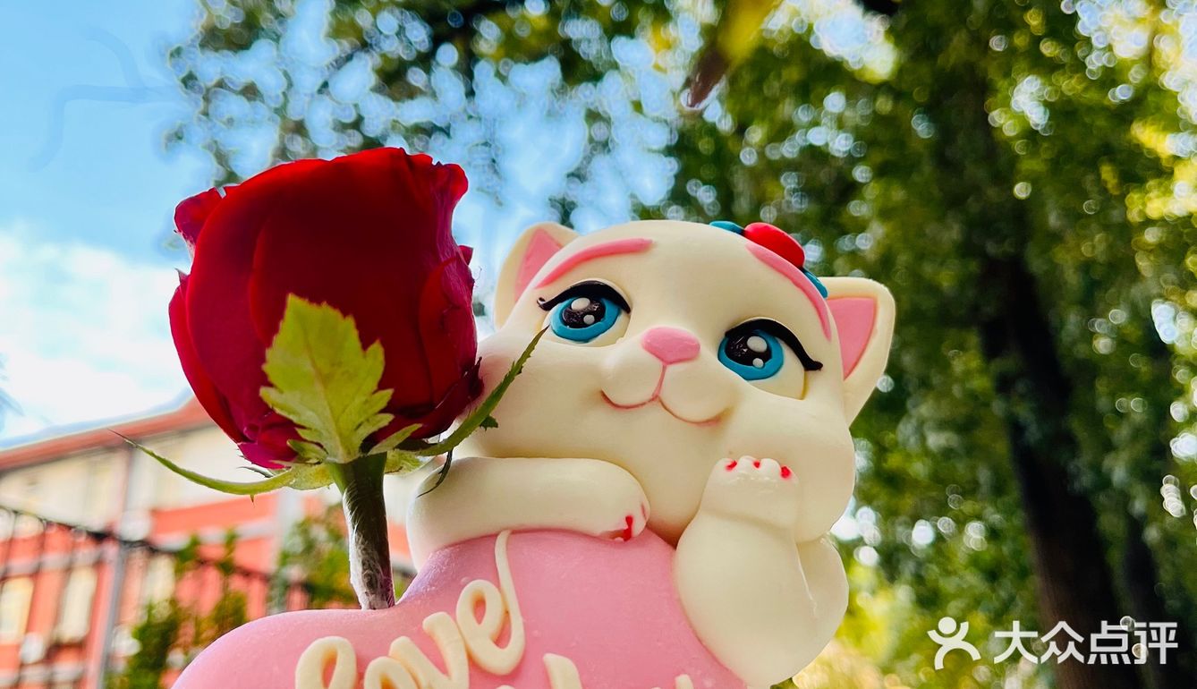 今年生日的快乐被这只翘tun小奶猫承包了[爱心]