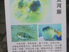-天怡·鱼工厂(临江店)