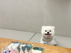 -樱桃家的宠物店(君安花园店)