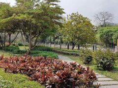 -晓港公园