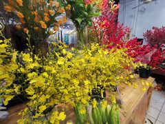 -双季花艺园艺市场(浦东店)