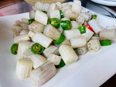 莲藕尖-渔歌子餐厅