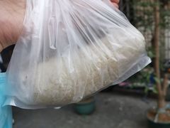 -殷姐糯米包油条