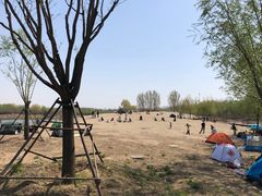 -东郊湿地公园