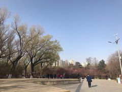 -满都海公园