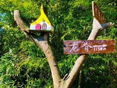 -大罗山风景区