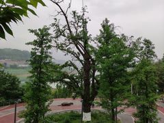 -金海湾滨江公园