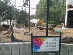 -月亮河温泉度假酒店