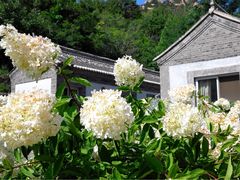 -云峰山自然风景区