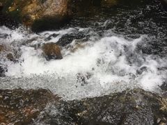 -少华山国家森林公园