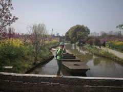 -南汇桃花村