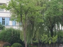 -南京育英第二外国语学校(大厂校区)