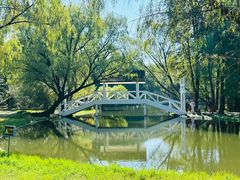 -上海共青森林公园