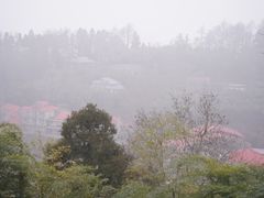 -莫干山风景区