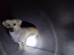 -鬼笑石后山停车场