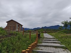 -白水寺森林公园