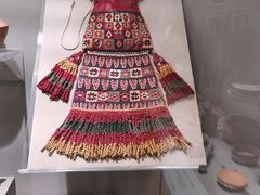 -美国自然历史博物馆