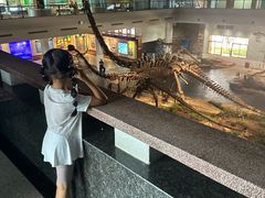 -自贡恐龙博物馆