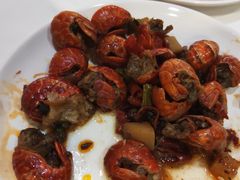 -碧中海汤泉汗蒸酒店