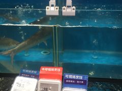 -盒马鲜生(曜一城店)