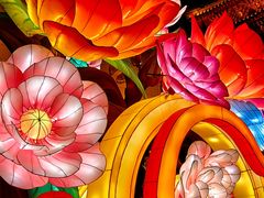-金城公园