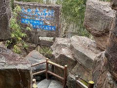 -游龙石文化科普馆