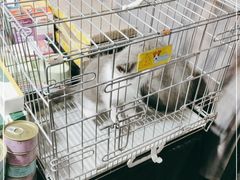 -吴山路夜市