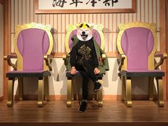 -东京塔海贼王主题公园