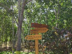 -永定河休闲森林公园