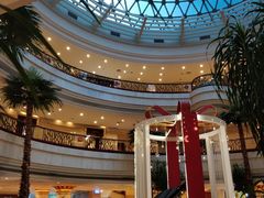 -深圳中洲圣廷苑酒店世纪楼