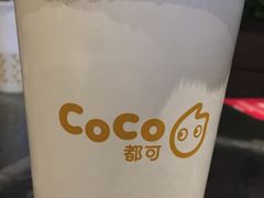 -CoCo都可(文星广场店)
