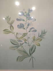 -颜蕾医美·黄金微针·水光·玻尿酸·超声炮·抗衰中心