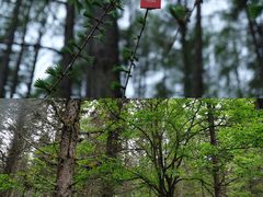 -硗碛藏寨·神木垒景区